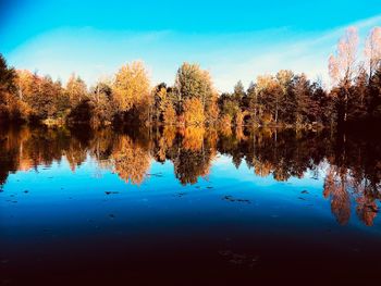 Reflection of trees in lake against blue sky