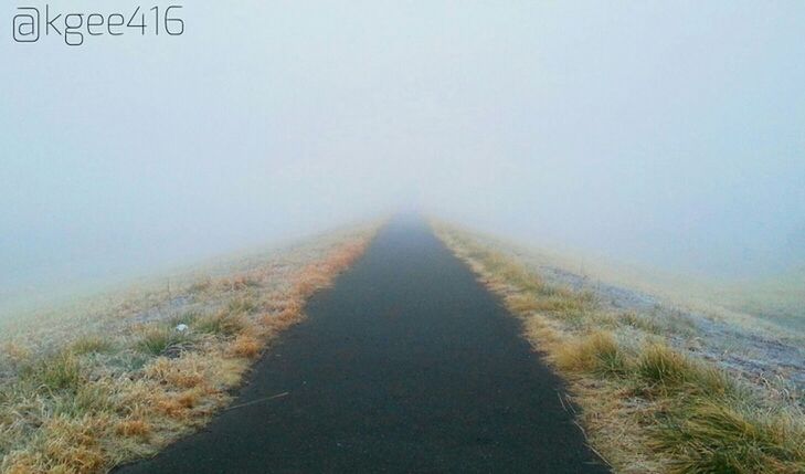 the way forward, fog, tranquil scene, tranquility, landscape, copy space, foggy, diminishing perspective, field, vanishing point, road, nature, scenics, grass, beauty in nature, dirt road, weather, transportation, country road