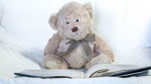 Teddy bear with book on bed