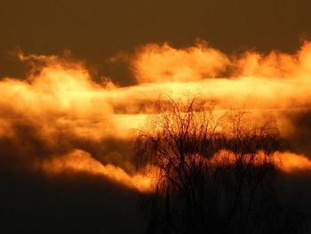 Silhouette of trees against cloudy sky