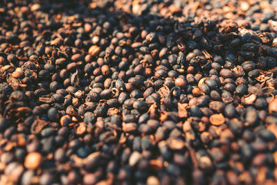 Full frame shot of coffee beans