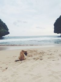 Scenic view of calm beach against sky