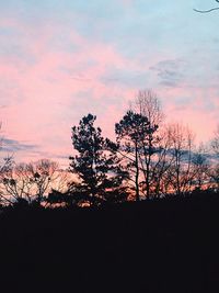 Silhouette of trees at sunset