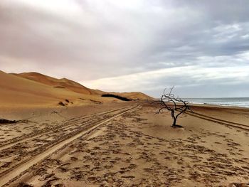 Scenic view of desert against sky