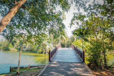 Narrow walkway along plants and trees by river