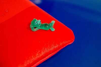 Close-up of blue toy