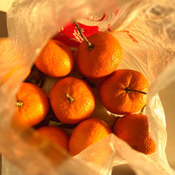 High angle view of orange fruits