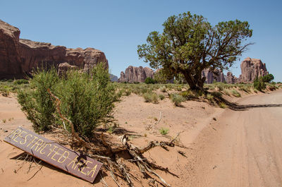 Plants on rock formation against clear sky