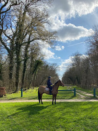 Man riding horse on field