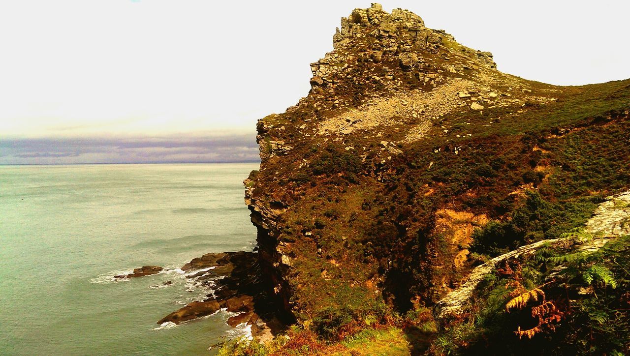 tranquil scene, tranquility, sea, water, scenics, beauty in nature, nature, clear sky, sky, rock - object, rock formation, horizon over water, idyllic, growth, beach, non-urban scene, outdoors, no people, day, close-up