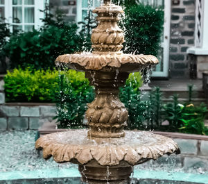 Statue by fountain in park