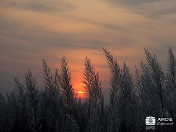 Scenic view of sunset sky