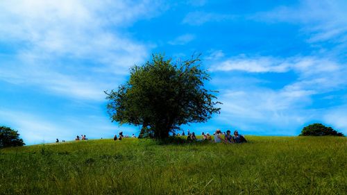 Scenic view of field against cloudy sky