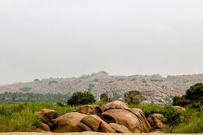 rock