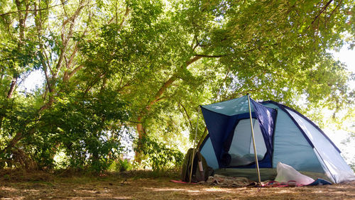 Tent in forest