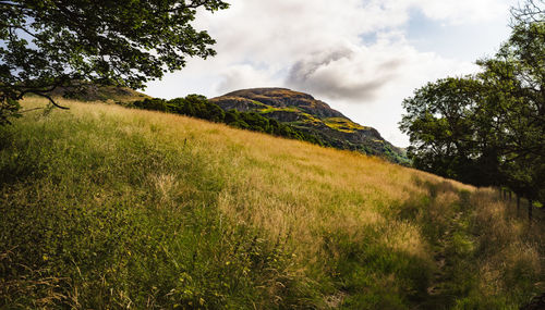 View of distant hill with rolling grassland in foreground