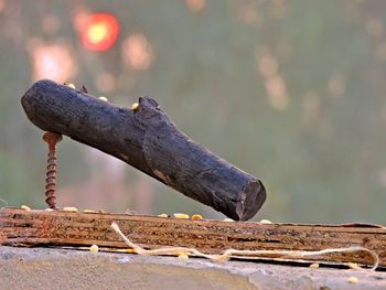 Close-up of rusty metal