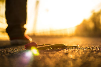 Close-up of sunlight falling on table
