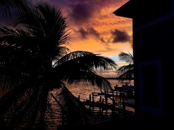 Silhouette palm trees on beach against sky at sunset