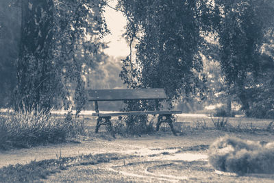 Empty bench in park during winter