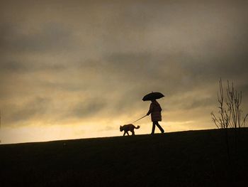 Silhouette dog on field against sky during sunset