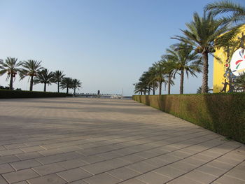 Footpath leading towards palm trees on sunny day