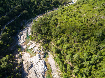 High angle view of stream amidst trees in forest