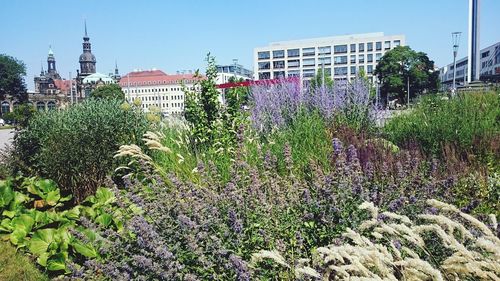 Low angle view of buildings against clear sky