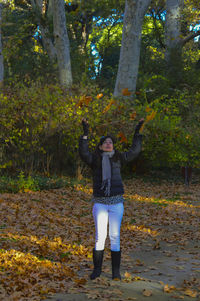 Autumn leaves on tree trunk