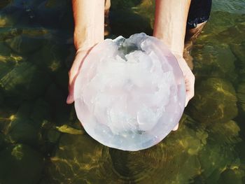 Low section of person holding water in sea