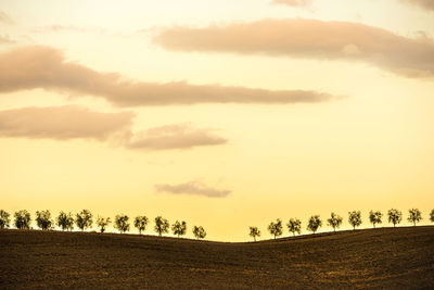 Scenic view of field against sky during sunset