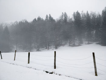 Snow covered field by trees during winter