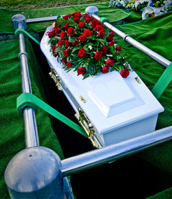 High angle view of flower pot on table