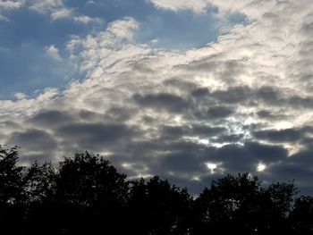 Low angle view of silhouette trees against sky