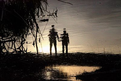 Silhouette plants on lake against sky at sunset