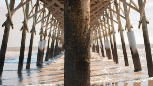 Close-up of wooden posts on beach