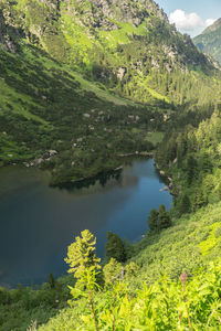 Scenic view of green landscape with trees in background