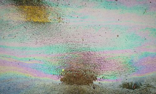 Close-up of water drops on leaf