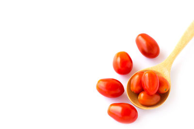 High angle view of tomatoes against white background