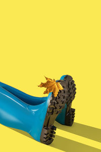 Blue rubber boots with autumn golden maple leaf on a yellow background