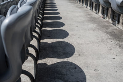 Close-up of leaves in row