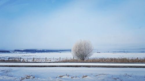 Snow covered field against sky