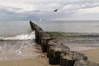 Seagulls on wooden post in sea against sky