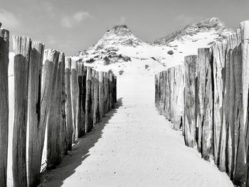 Wooden posts on snow covered land