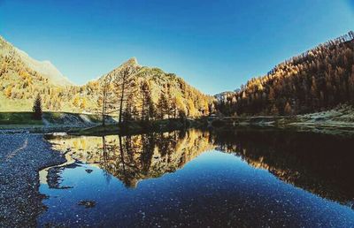 Reflection of trees in calm lake