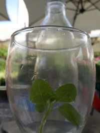 Close-up of drink on glass