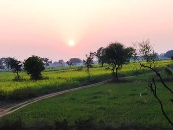 Scenic view of field against sky during sunset