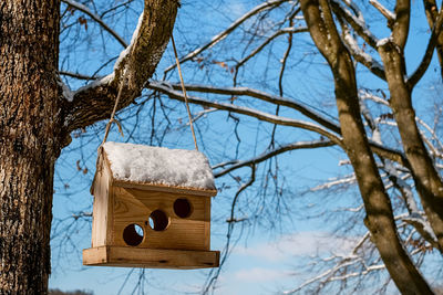 A box for birds hanging in the tree, in winter