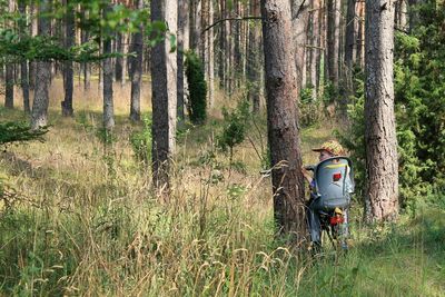 People walking in forest