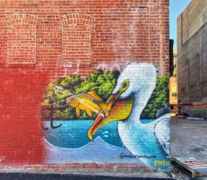 View of birds on wall